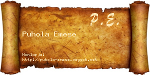 Puhola Emese névjegykártya